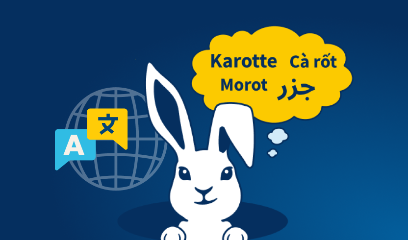 Multilingual Labeling Best Practices